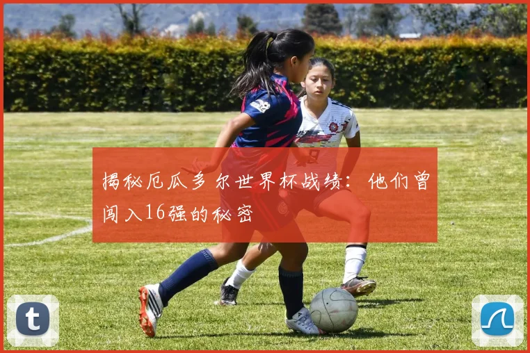 揭秘厄瓜多尔世界杯战绩：他们曾闯入16强的秘密