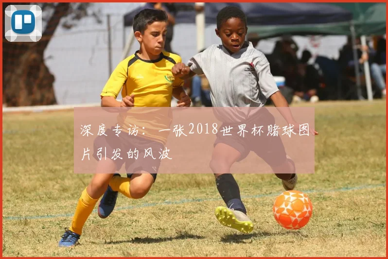 深度专访：一张2018世界杯赌球图片引发的风波