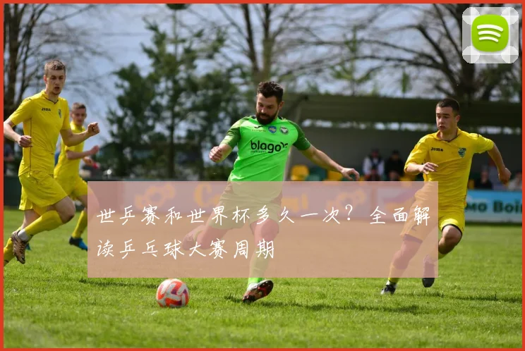 世乒赛和世界杯多久一次？全面解读乒乓球大赛周期
