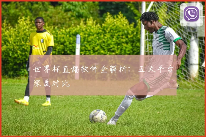 世界杯直播软件全解析：五大平台深度对比