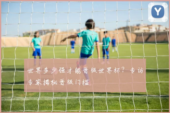 世界多少强才能晋级世界杯？专访专家揭秘晋级门槛